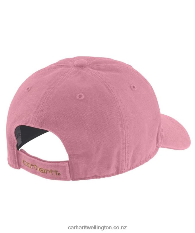 Men Canvas Cap Carhartt R6J0P83 Alpine Blue