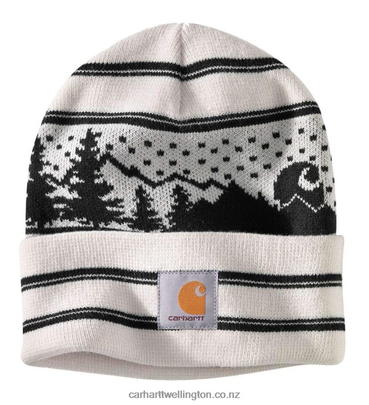 Men Knit Holiday Beanie Carhartt R6J0P100 Basil